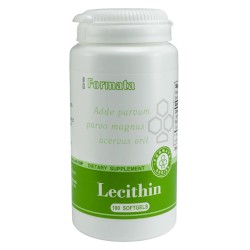 Lecithin kapsulės N100 